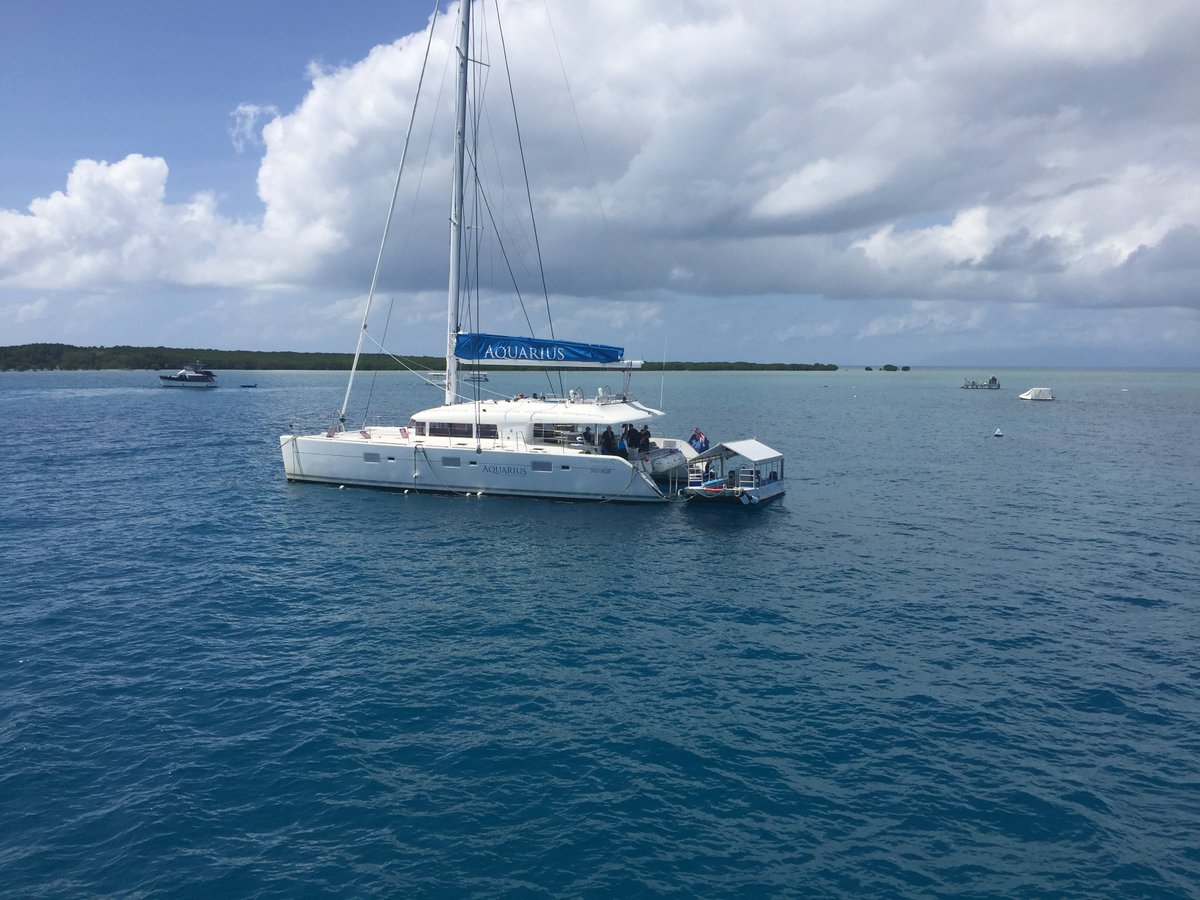 AquariusSailing's tweet photo. Fancy a day at the reef? Can’t go past Aquarius to Low Isles. #portdouglas #lowisles #greatbarrierreef https://t.co/IAg8r0l7C7