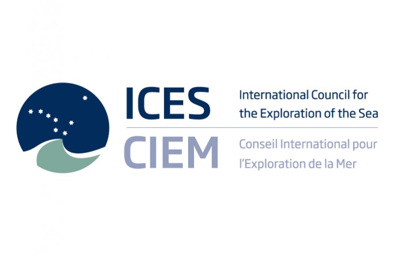 TrustITServices's tweet photo. Don't miss out @BlueBridgeVREs workshop on Stock Assessment Virtual #Research Environment tomorrow at #ICESASC2016➟ https://t.co/JdOGPynrYc https://t.co/KcFbjz2eTI