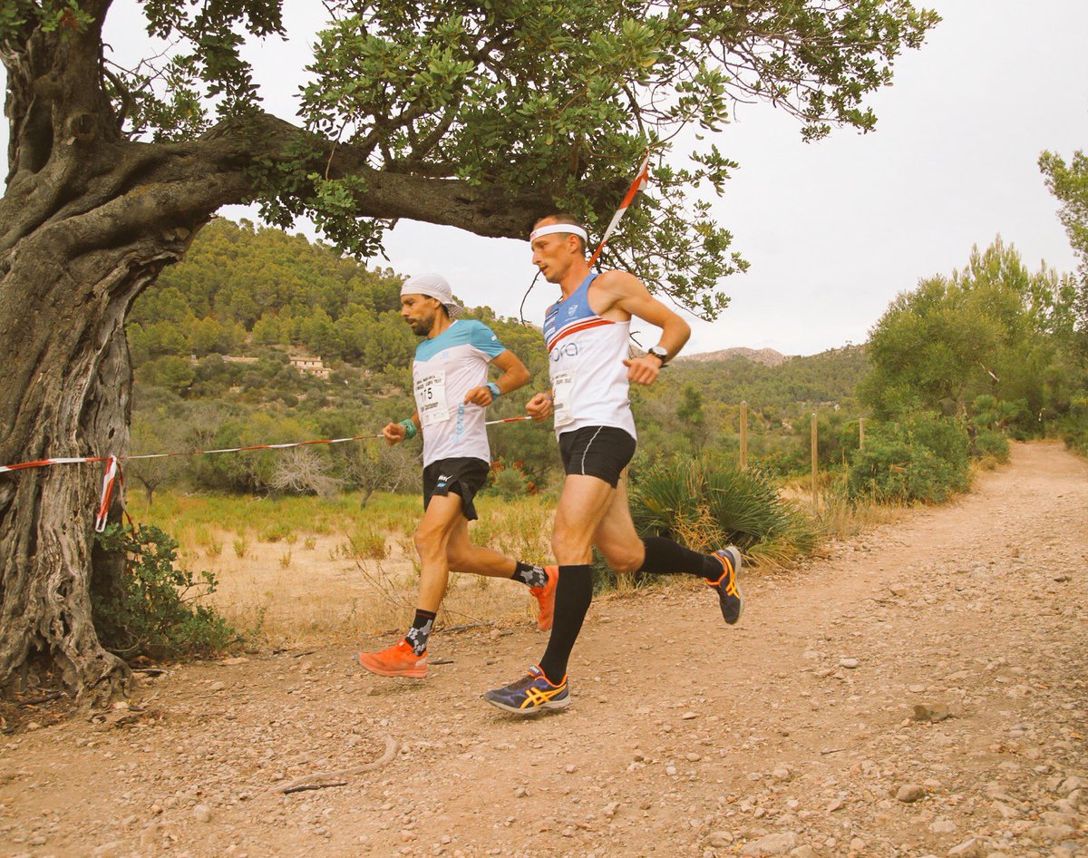 tofolcastanyer's tweet photo. Ya sabia que después d #utmb2016 intentar ir a 4,30 costaria mucho...pero de eso se trata: sufrir para afinar....Bondia a tots!! https://t.co/K2MaSSys3M