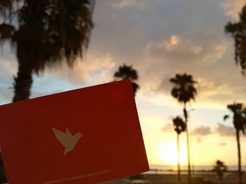 2mcgroup's tweet image. #BuenosDías mundo. Así amanecemos y empezamos a trabajar para hacer volar tus proyectos #eCommerce #ExpertosEnComercioElectrónico