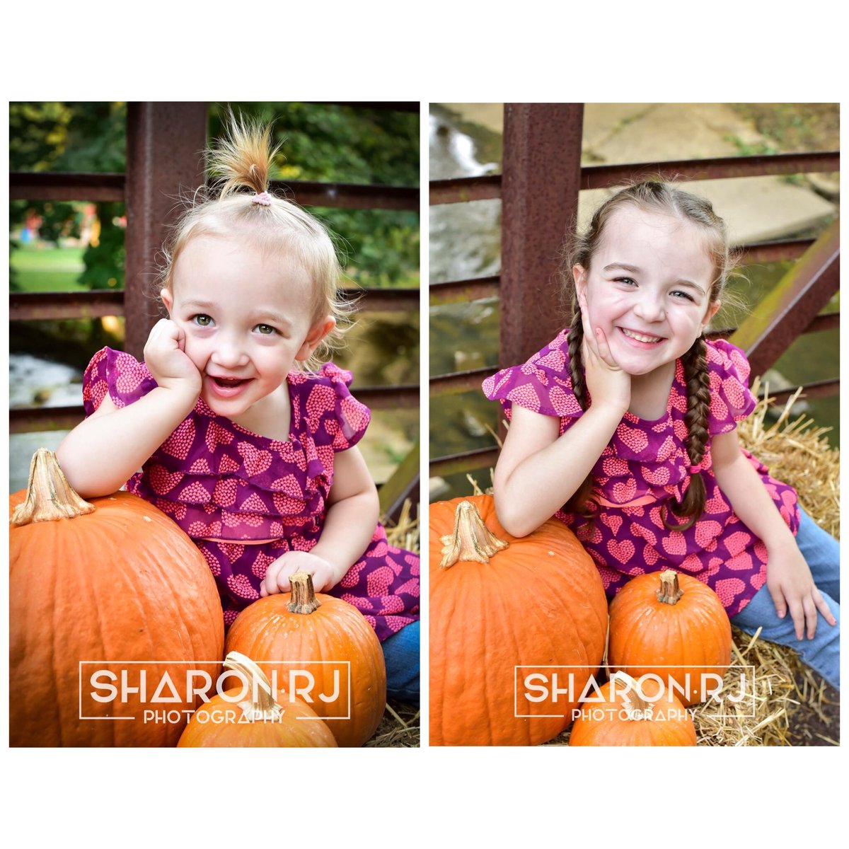 Shaydunn_'s tweet photo. These two little pumpkins are just too much! 😍🎃 #sharonrjphotography #fallminisession https://t.co/AdQLLEjfdp