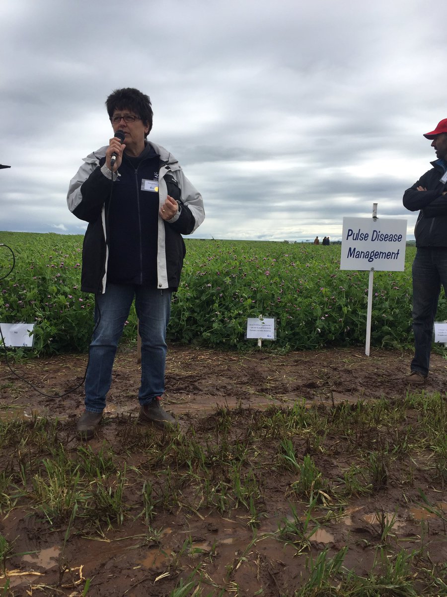 SARDI's Jenny Davidson with some management advice for worsening ascochyta prob in SA <a href="/HartFieldDay/">HartField-SiteGroup</a>