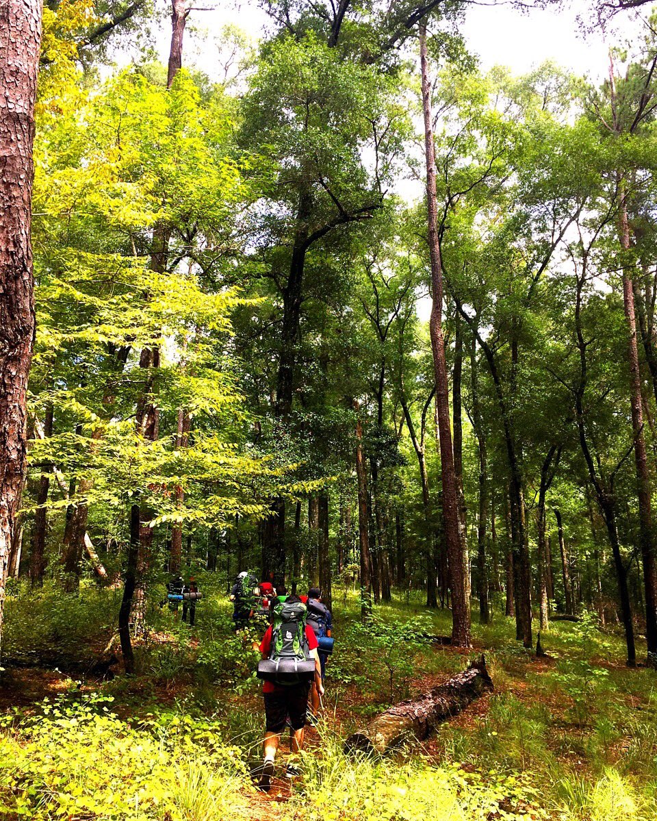 FloridaStateOP's tweet photo. Intro to backpacking this weekend was a success 💪🏕🌲#floridastate #fsucampusrec #outdoorpursuits #findwhatmovesyou https://t.co/bebAfwJg2R