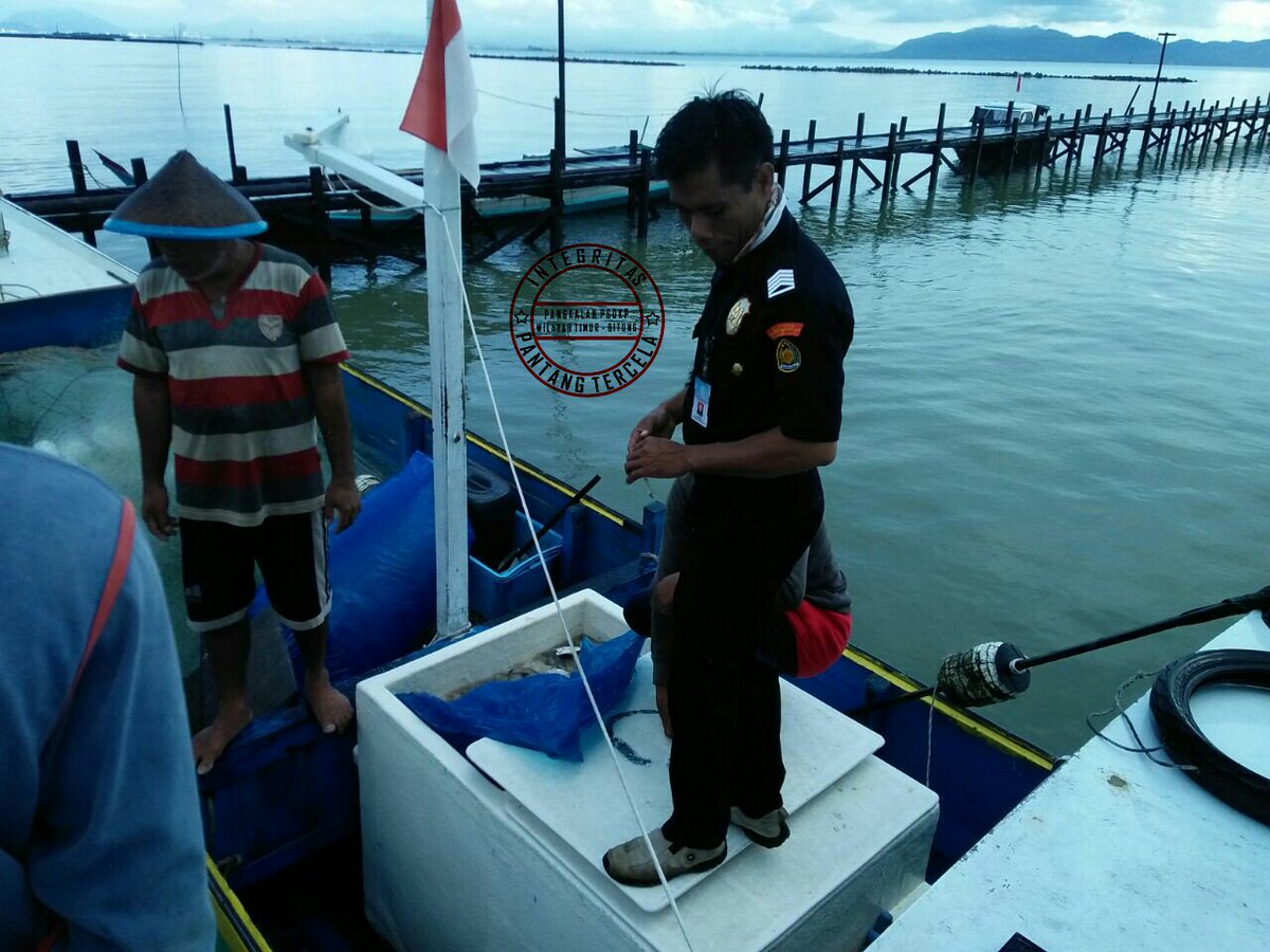 LanPSDKPBitung's tweet photo. Giat pengawasan bongkar muatan kapal perikanan di Sebatik. 
#integritas #kerjanyata #lan2update https://t.co/s69PCszgTf