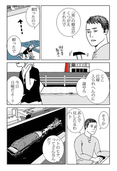 ハトの話2
#鳩 #漫画 