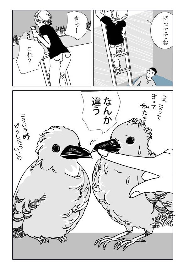 ハトの話2
#鳩 #漫画 