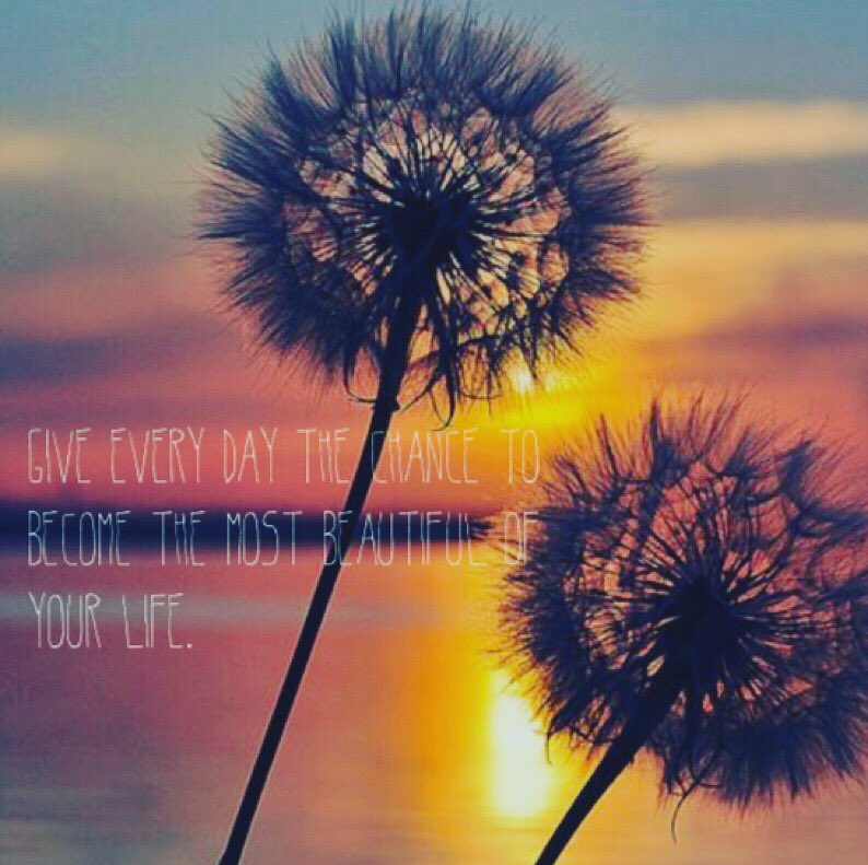 look_movement's tweet photo. 🙏🏼🙏🏼🙏🏼
#mondaymotivation https://t.co/HxYqHkocju