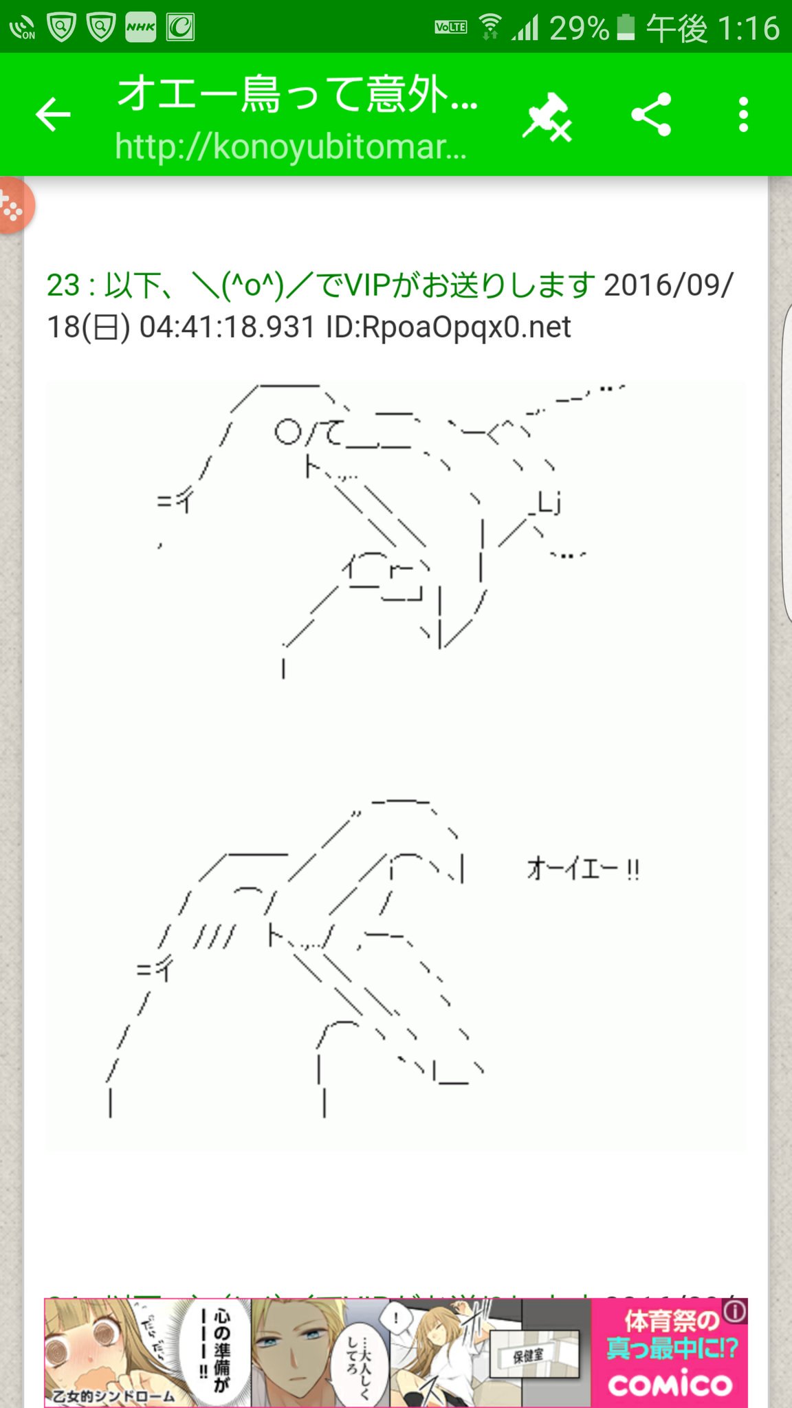 Twitter पर イサンタ 初めてオエー鳥が可愛いと思った