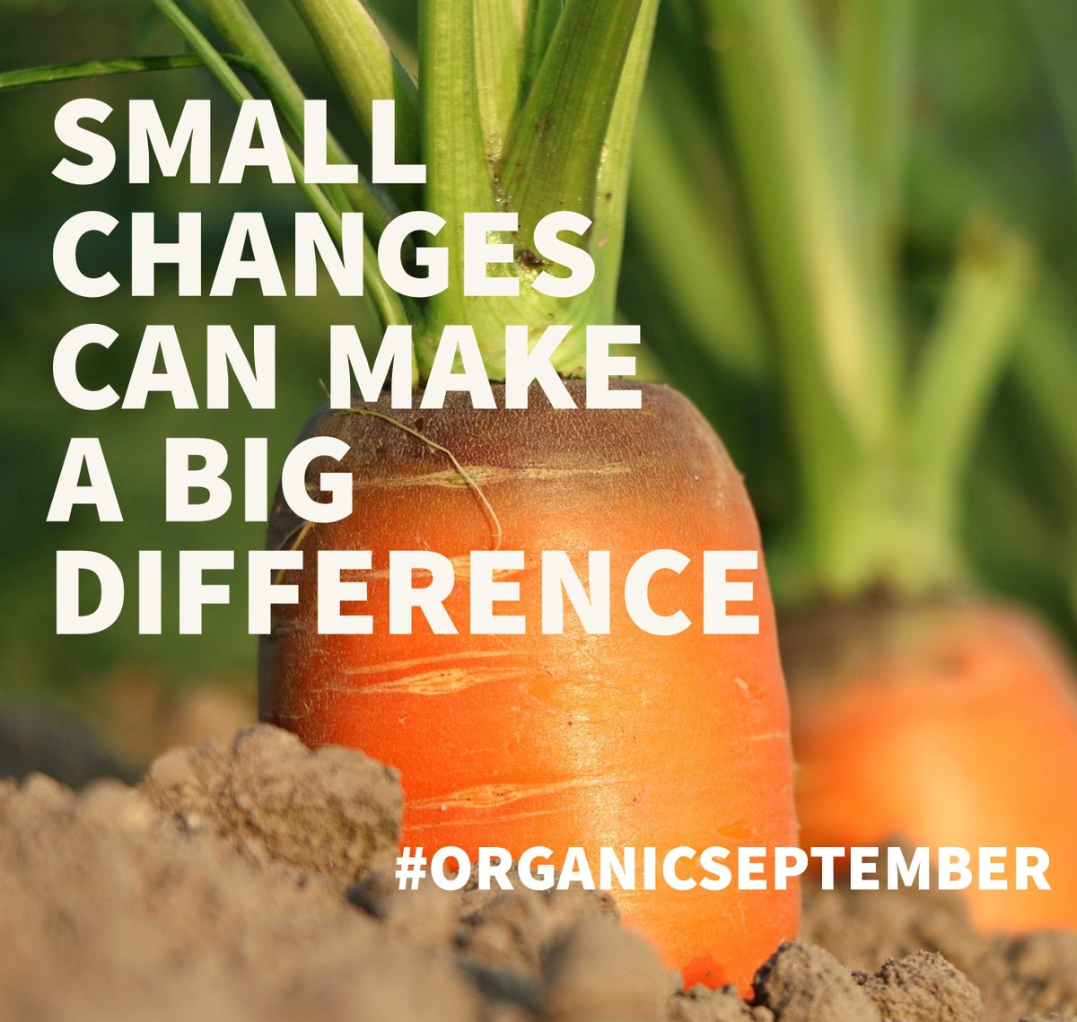earthyfoods's tweet photo. Eat. Drink, Use. Choose. Organic. #OrganicSeptember #EarthyEdinburgh Small changes can make a BIG difference https://t.co/1SFQ0Ibkc0