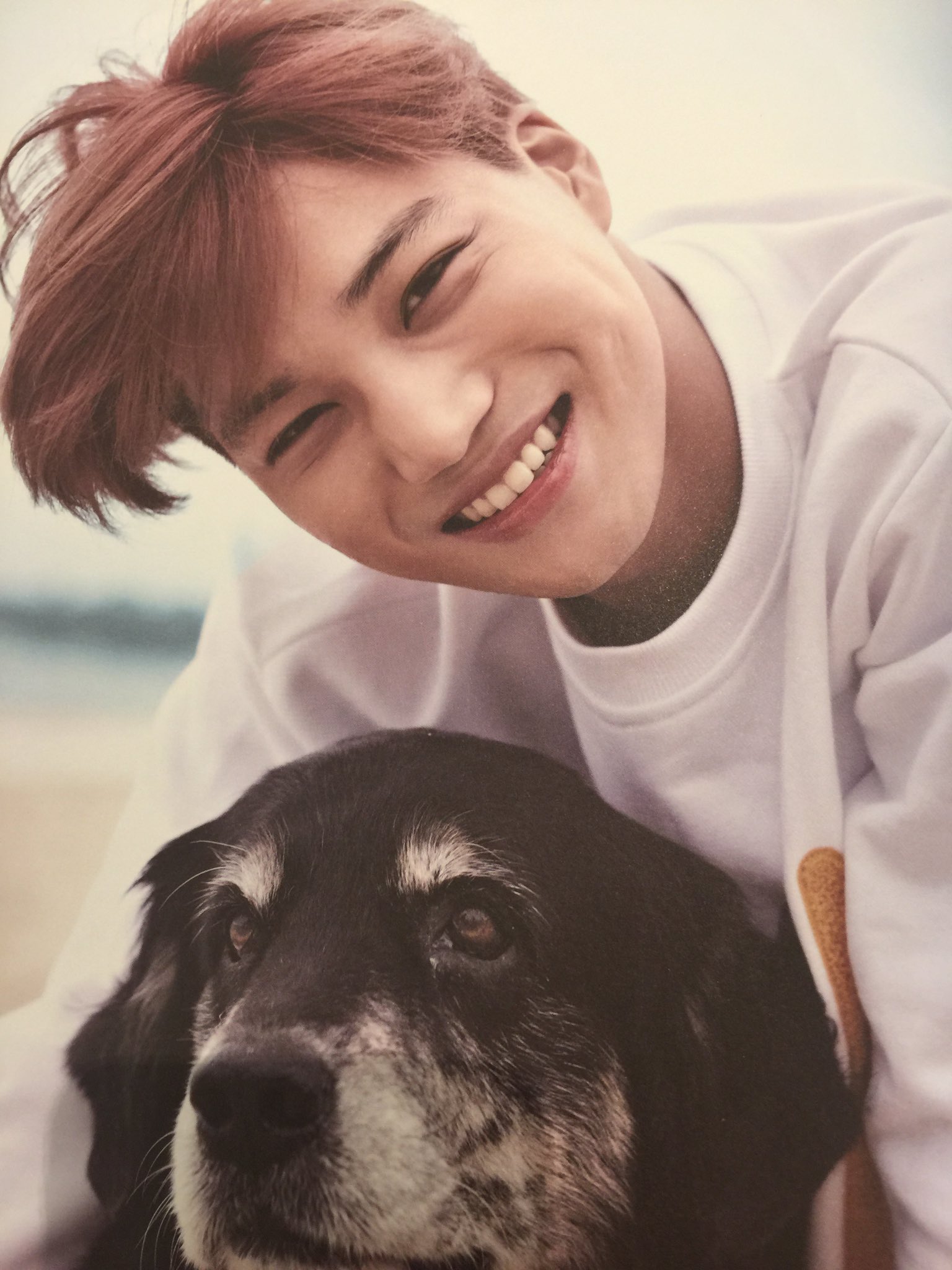 Csx_uZ4WAAAeGQJ.jpg:orig