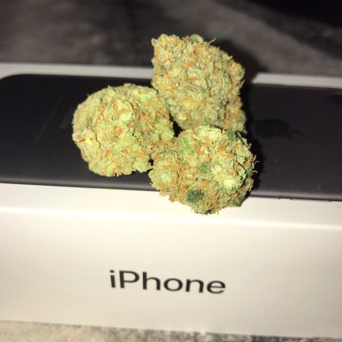 Testing out the new iPhone camera... https://t.co/VtV7i91Kai<a href="/tag/postyourselfasagif"class="tags"><span>#postyourselfasagif</span></a>