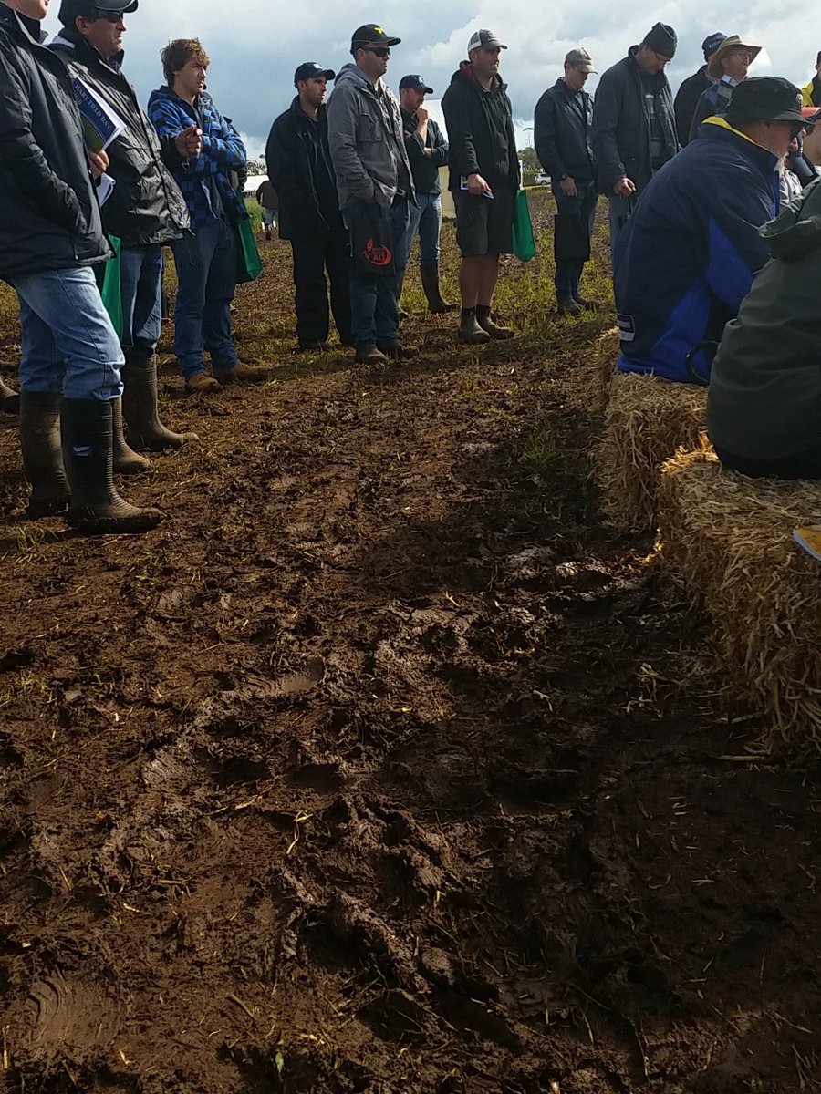 Adam Norman (adamnormanAGT) Twitter