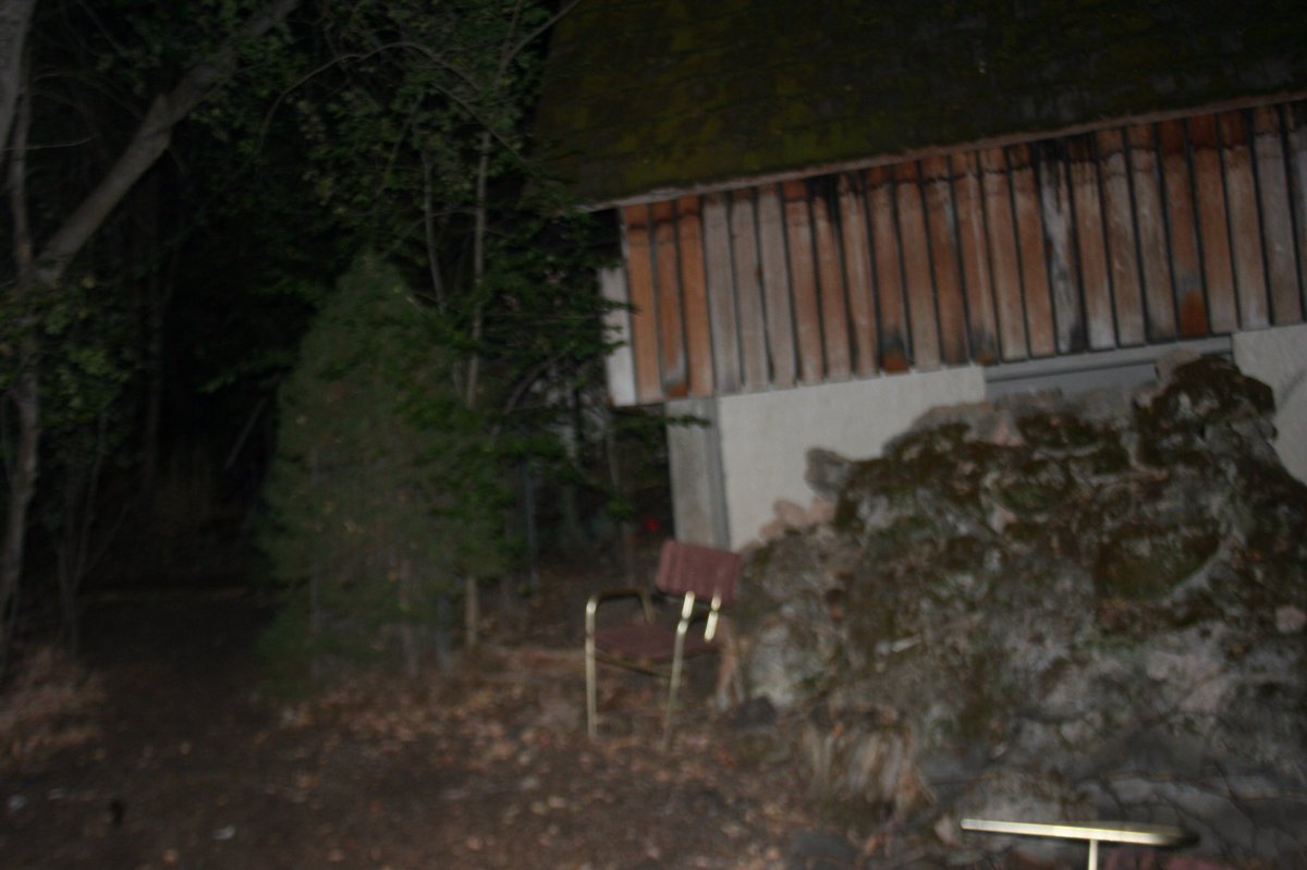 skylarmagness's tweet photo. @raquel_jarvis We just went to look cause my uncle wanted to prove it was a "statue". NOTHING IS THERE. Literally taken 10 minutes ago. 😵👻😷😭 https://t.co/tnfUHl7WTl