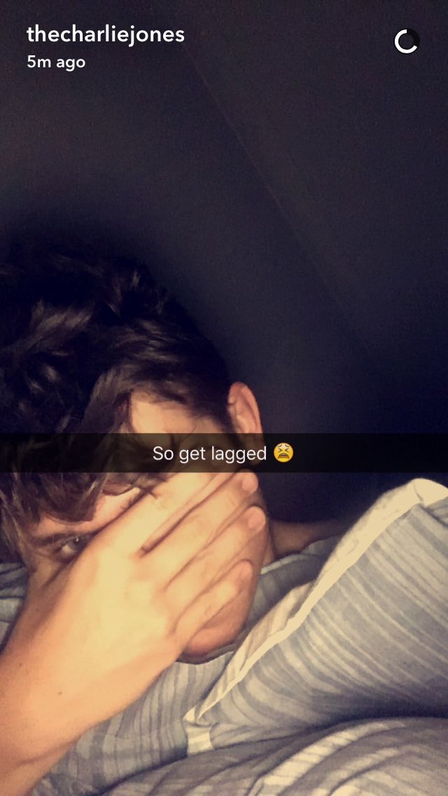 OverAtlanticFan's tweet image. #welcomehomeOA Charlie is awake due to jet lag but I'm genuinely getting ready for college 😴