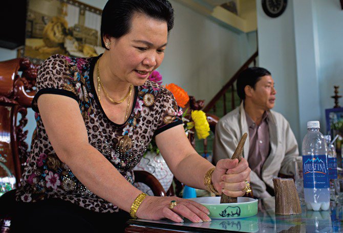 BenueZoo's tweet photo. SHOULD VIET NAM BE SLAPPED WITH TRADE SANCTIONS? | ILLEGAL WILDLIFE TRADE. https://t.co/zHM5bIssOL https://t.co/VYlTG0noAx