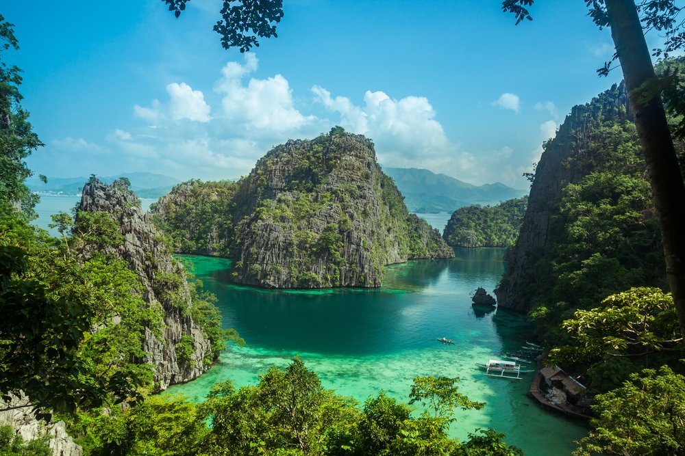 PADI's tweet photo. "Conservation is a state of harmony between men and land," - Aldo Leopold. - And the sea of course! https://t.co/r3B7G0d2Br