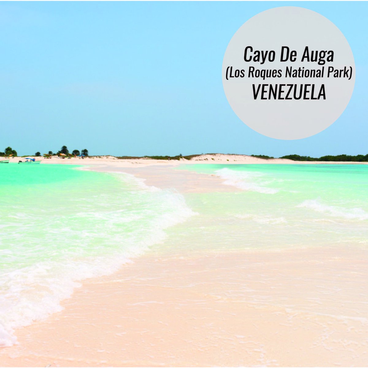 OmeirTravel's tweet photo. Mesmerize yourself in Cayo De Auga, spectacular beach in Venezuela. #Top5Beaches
Source: LonelyPlanet &amp; Tripadvisor https://t.co/8Kv2xS79zc