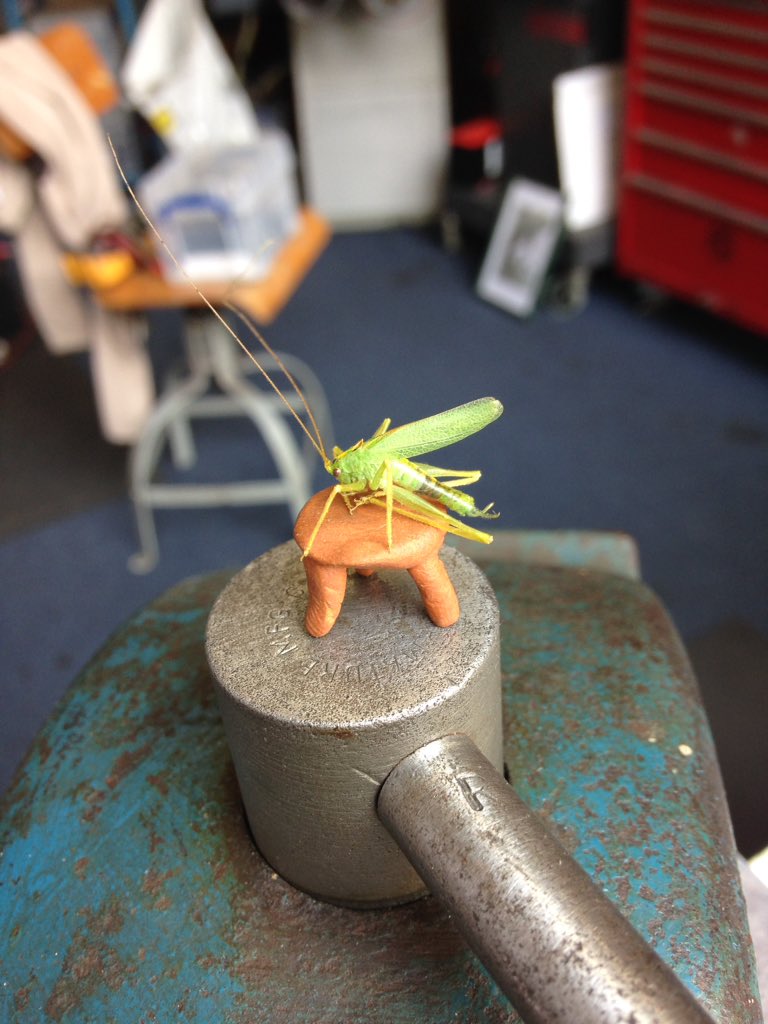 harryfraservu's tweet photo. Sometimes it's just not cricket! @VMagnetos #smallstool https://t.co/5PtPM1sS0R