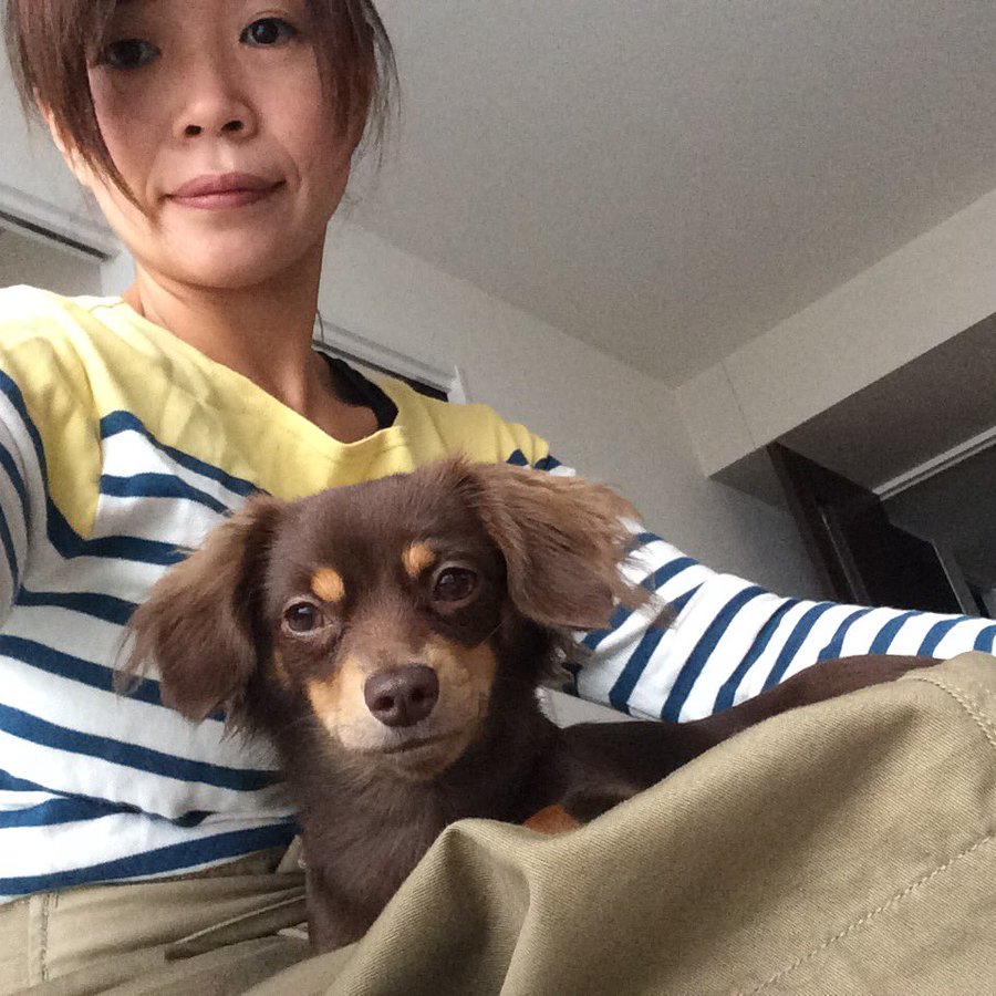 芸能人の犬の名前とペットの名前人気ランキング 最新 おすすめドッグフードのabc