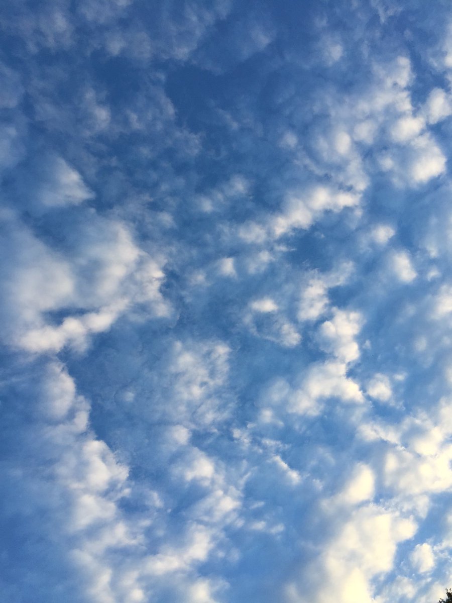 marychisholm4's tweet photo. It looks like blue candy floss but it's actually the sky this morning. Mmmm...now I want some candy floss. #stratfordfallfair #soon https://t.co/ct2aZpfBPp