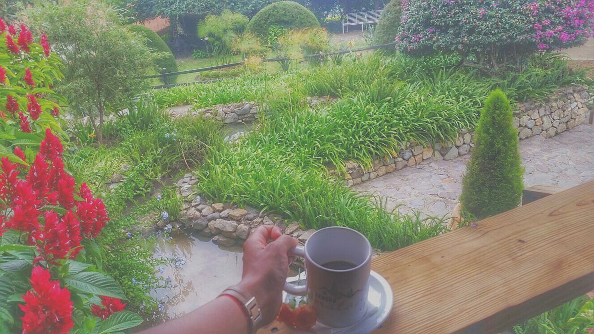 Y si rodeados de neblina nos tomamos un café?
Ven #conoceconstanza #ranchoconstanza #constanza #constanzard