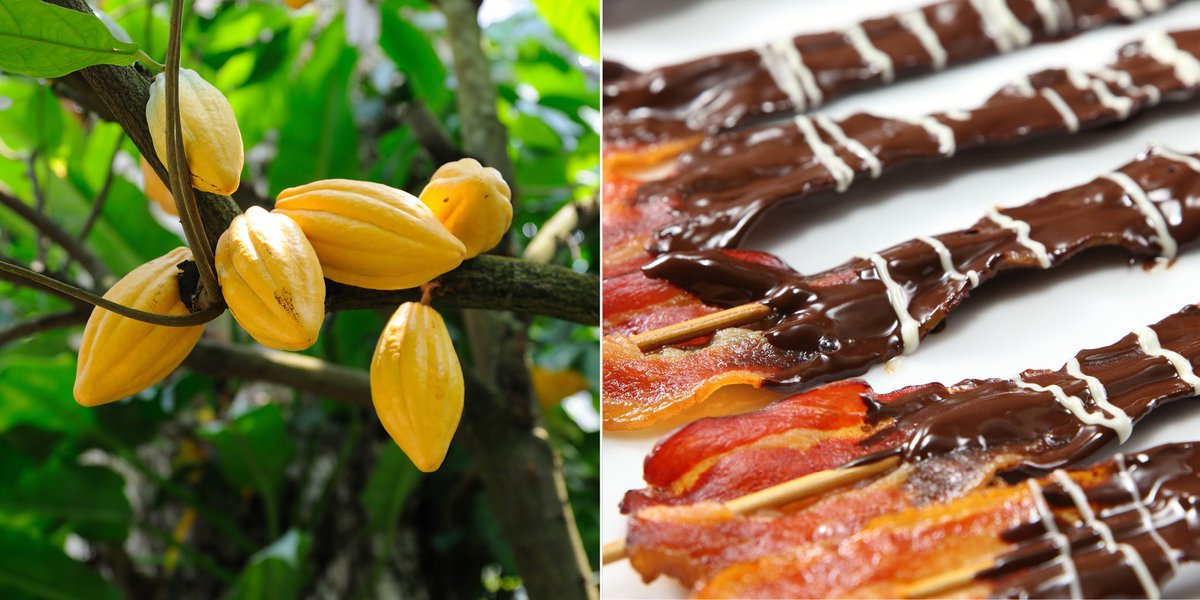 inventhelp's tweet photo. From a plant to cakes &amp; candies to chocolate covered bacon #Transformation #Innovation #FoodInventions https://t.co/bQbnqP6R7Y