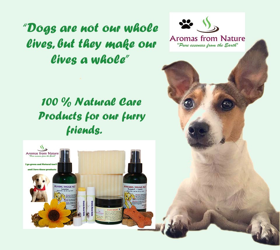 Make your furry friend extra special. 100% natural products to protect their coat, paws and nose. #crueltyfree #doglover #furrylove #dogs