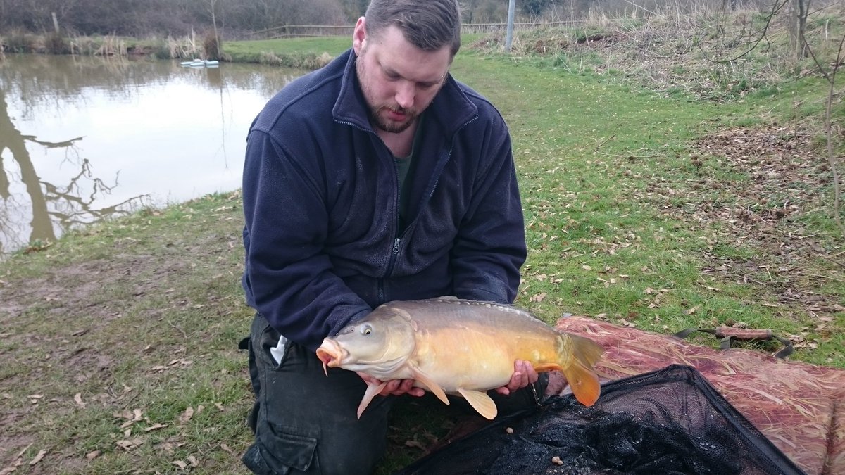 AddictionCarp tweet picture