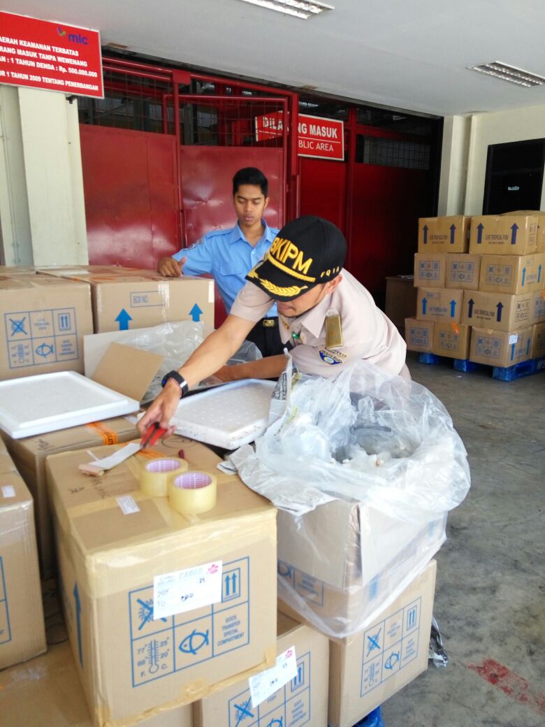 Pengawasan Ekspor Tujuan France MP Ikan Hias Laut dll jumlah 20 Box Pswt TG.432 @HumasBkipm <a href="/rinajanwar2201/">Rina</a>