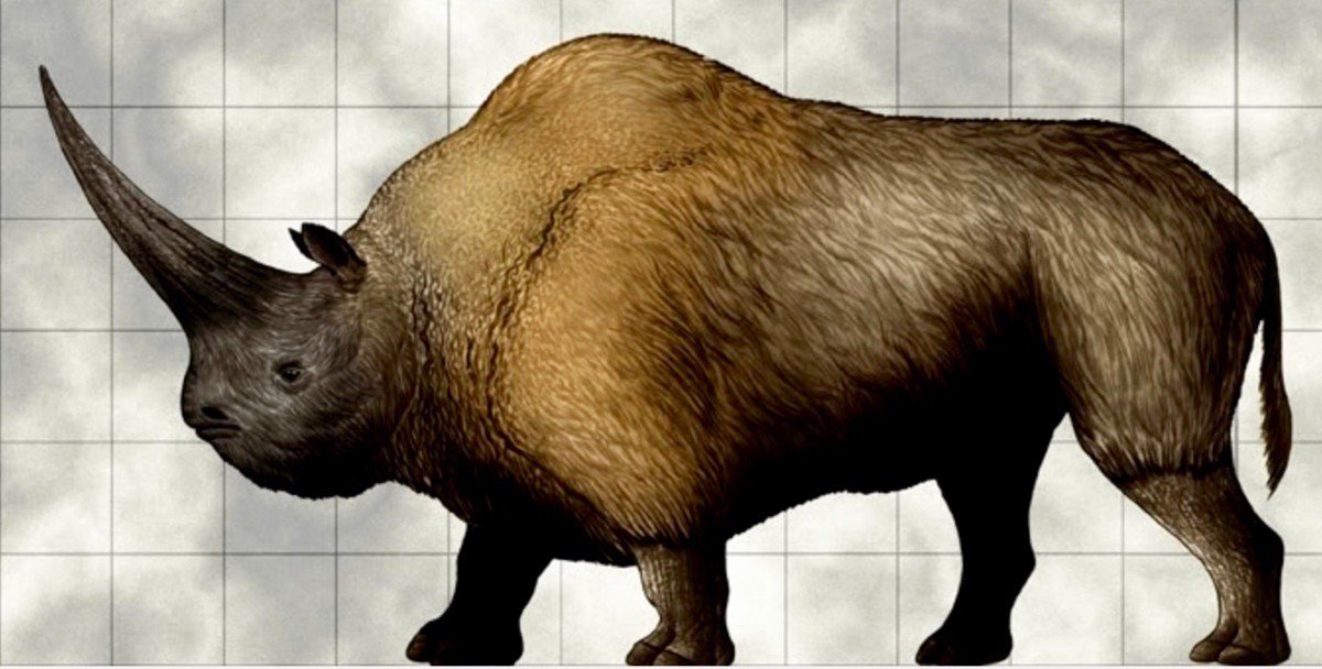 JWygaert's tweet photo. Think out of the box. No normal Unicorn for PolitEasy #amism  #SBS https://t.co/BgQCuVLldO