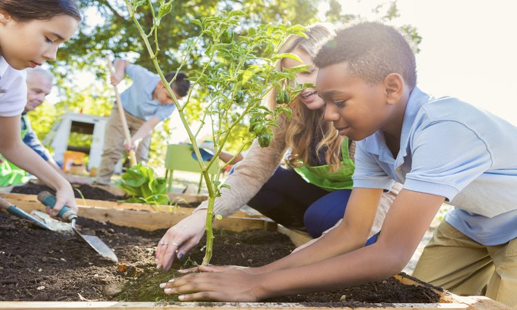 When children grow their own vegetables and fruits, they learn to love fresh, nutritious food. #FoodTank