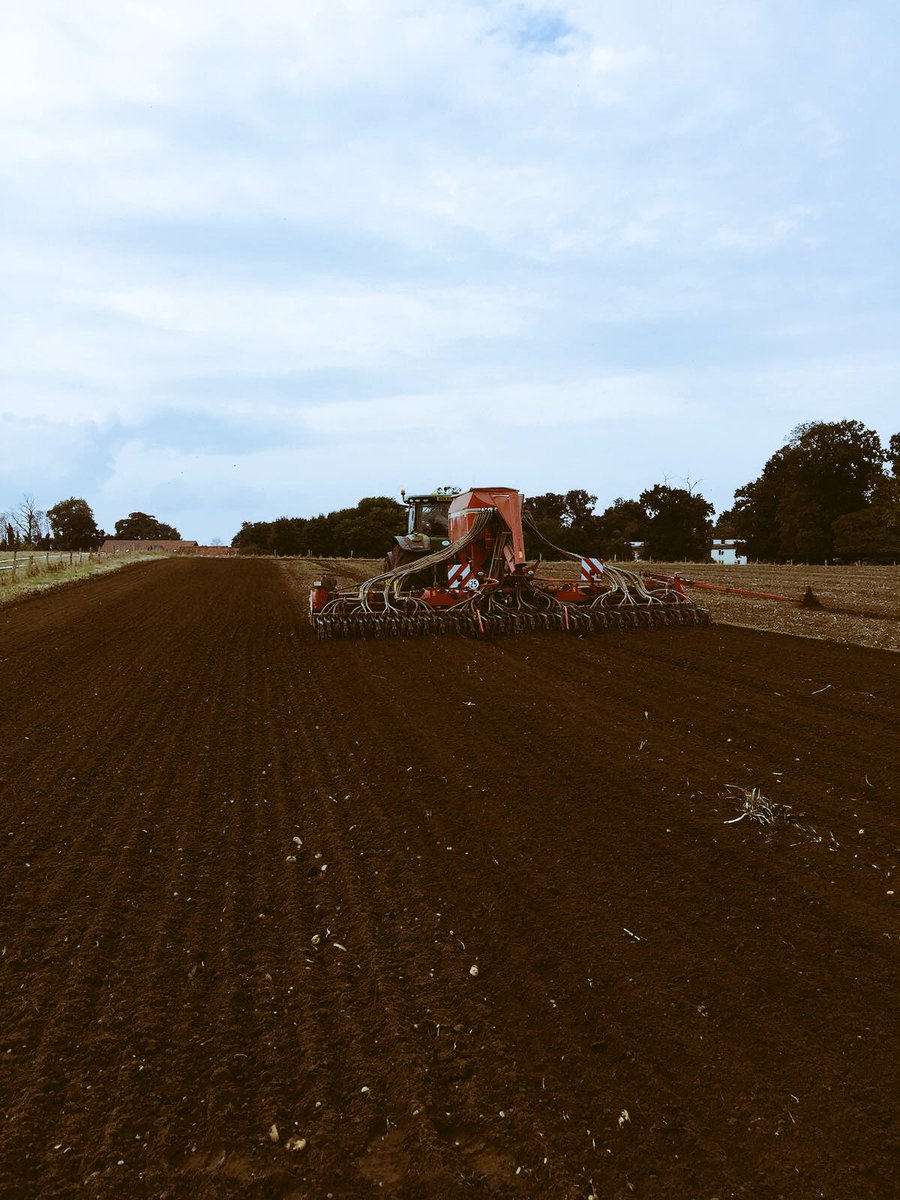 WestropeFarming's tweet photo. After the long awaited rain, our autumn #drilling campaign is underway! 
#wheat #skyfall #harvest2017 https://t.co/7aUe2AaVO5