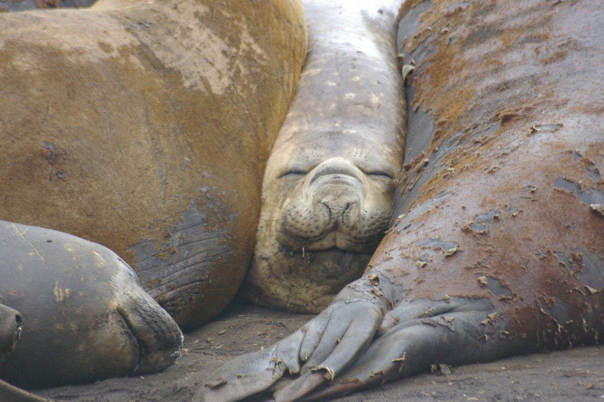 Like trying to get marriage equality past the pollies #equality