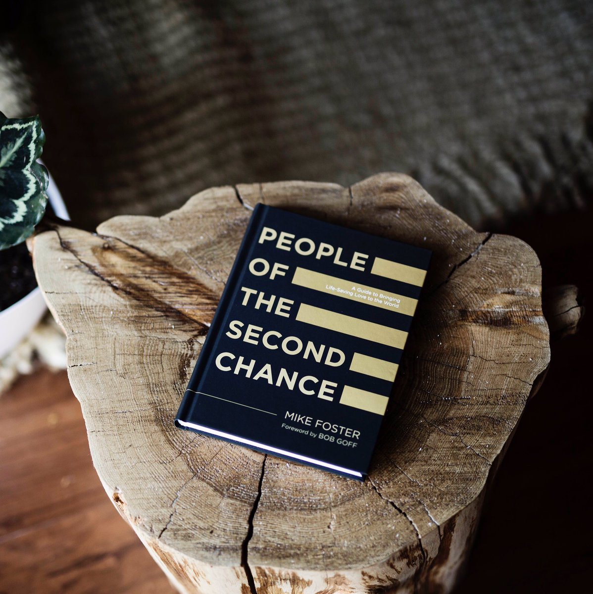 kimiroe's tweet photo. Release day for #potscbook! #Freeway, also by @MikeFoster, changed my life. Order #secondchancebook @POTSC today! https://t.co/OP73nZj50h