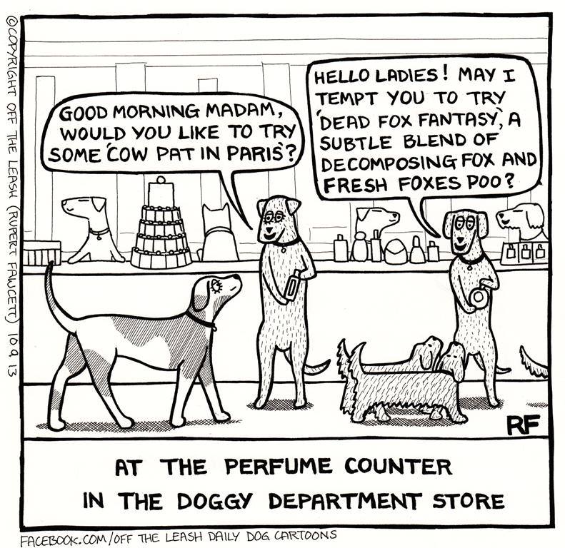 PartnersPets's tweet photo. Is this your dogs favourite perfume?

Why not try out our self service Dog Wash @ Partners and save your bathroom the indignity ! https://t.co/Xl1JfUYvNj