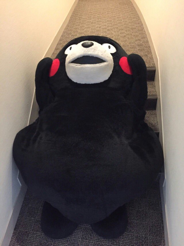 kuma__xo's tweet photo. @__BTS__SG 

ゴロン https://t.co/40fvSs7Lbl