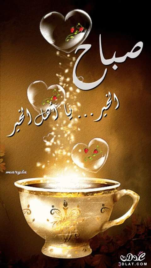 hoda55530's tweet photo. #MBC25 https://t.co/FAQ0jiMxPy