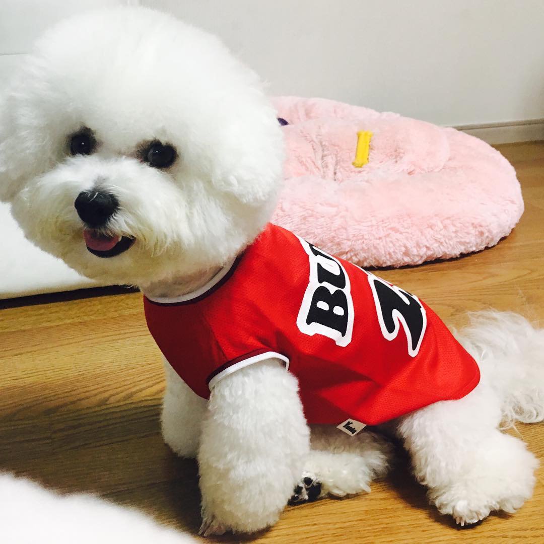 QYoniq's tweet photo. [#Yoniq Event Review]
YER STORY
레드 이벤트 당첨자후기

더 많은 후기는 인스타그램에서 만나보세요
▶인스타그램 바로가기:https://t.co/s6ns2HQzKc   
#반려견 #강아지 https://t.co/1lh5UCaVAu