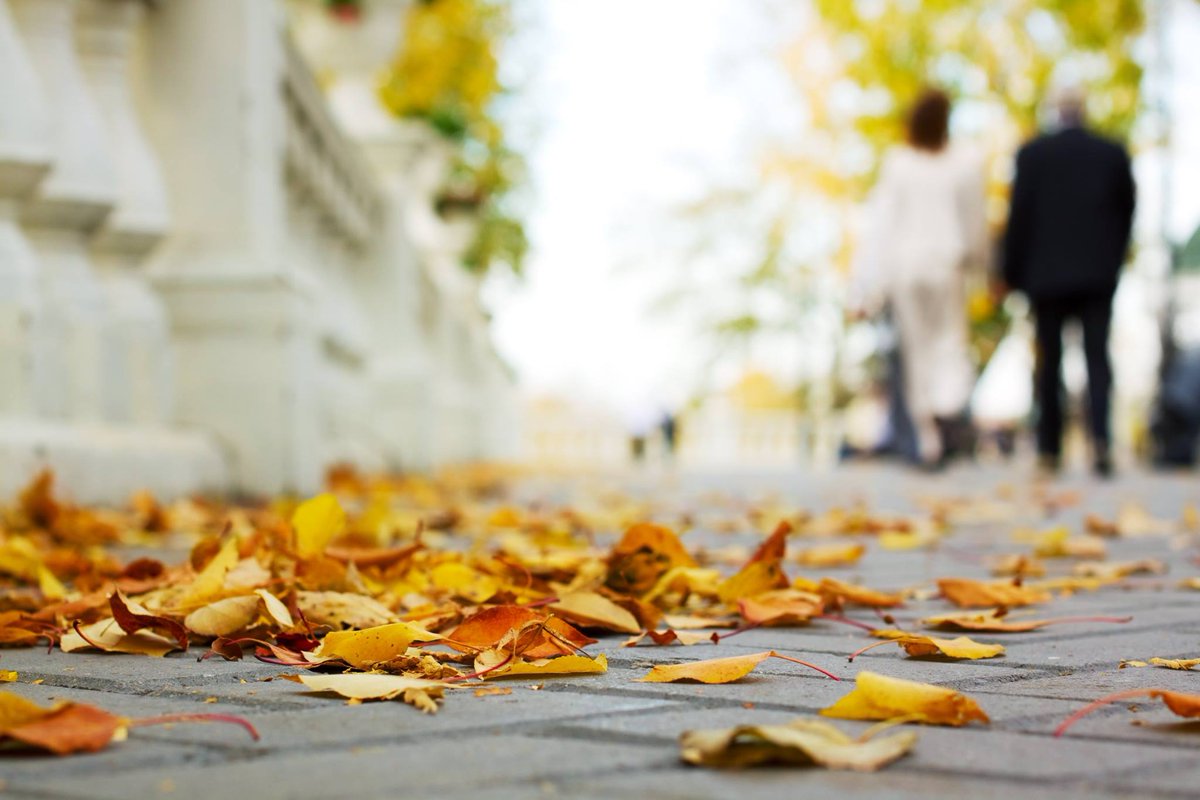 Hotelius Hoteles tweet media