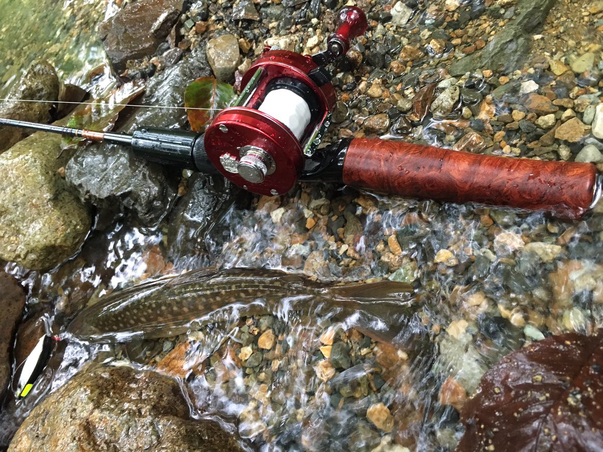 ほら吹き男爵 大人の渓流ベイトロッド完成 個人的には赤がいい いや黒かな シルバー ステッカーモデルもええ ブロンズプレートも捨てがたい Abuなら何でも似合うって事やね あっ 最新式の平べったいのもいいですぞ かねは商店 Wessex 銘木