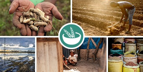 dotdotworld's tweet image. How can we make sure nobody goes to bed hungry? Share and discuss knowledge and be a part of the solution: foodsecurity.dot.world