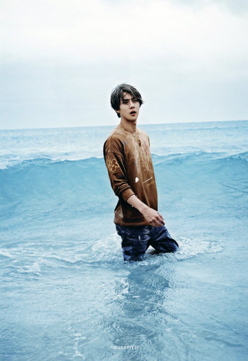 ʜᴀɴ ᴠᴏʟᴄᴀɴᴏ tweet media