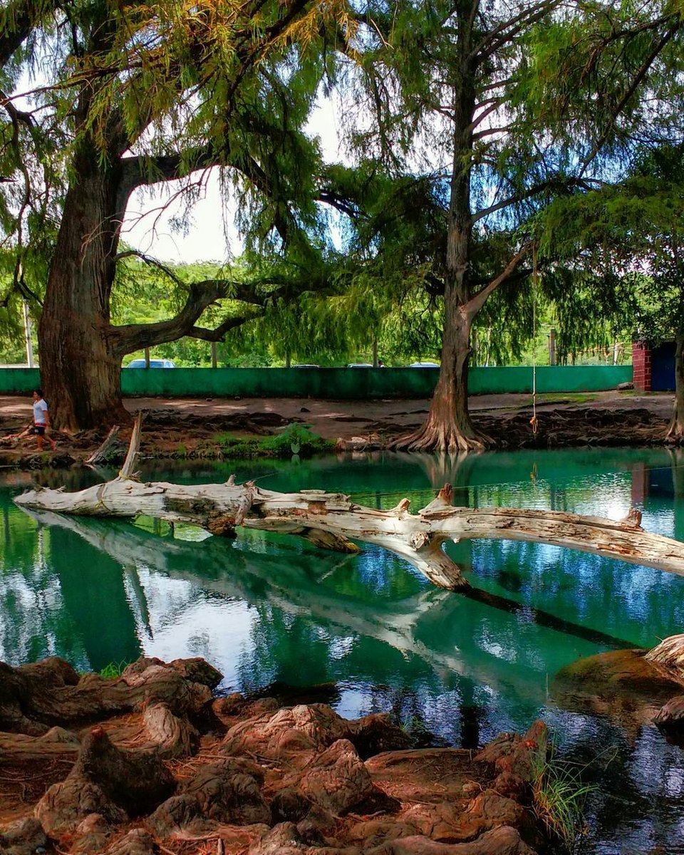Los Ahuehuetes, en el municipio de Tepeojuma.