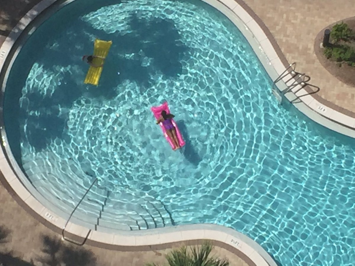 DesireeMiller's tweet photo. Today's to-do list: walk w/ dolphins, float, relax, repeat. @Visit_PCB #BeachGetaway #EmeraldView #traveltuesday #tmom #tbin https://t.co/a2kBr9IS4n