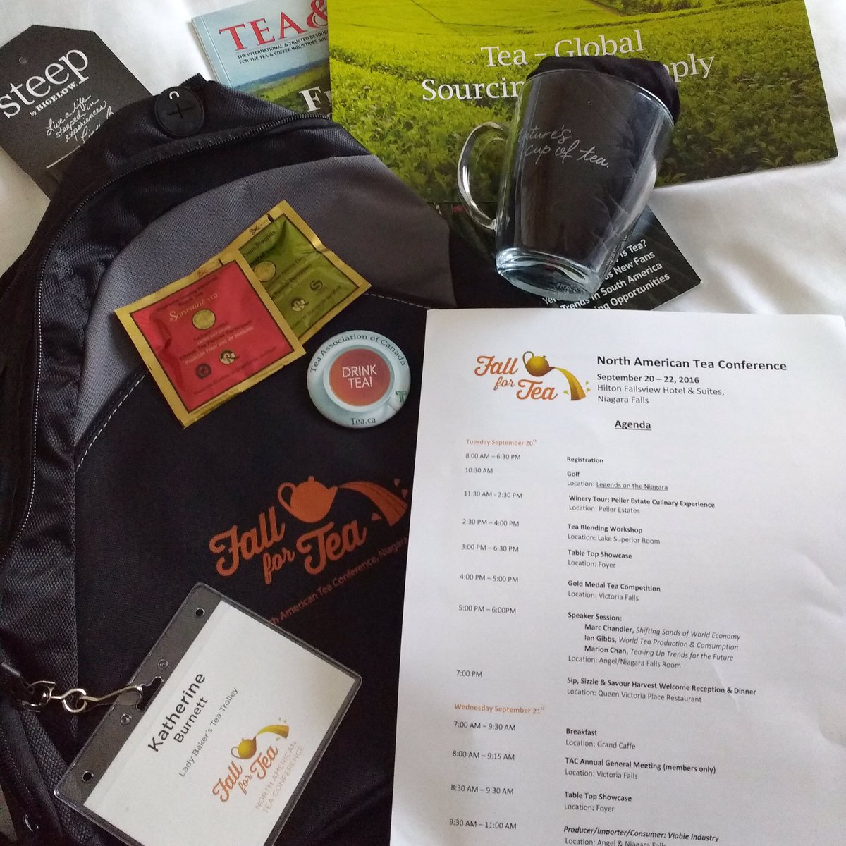 LadyBakersTea's tweet photo. Registered for N American Tea Conference! Wine tour of Peller Estate 1st. Then a #tea blending workshop! #fallfortea https://t.co/JKLnqBzagc