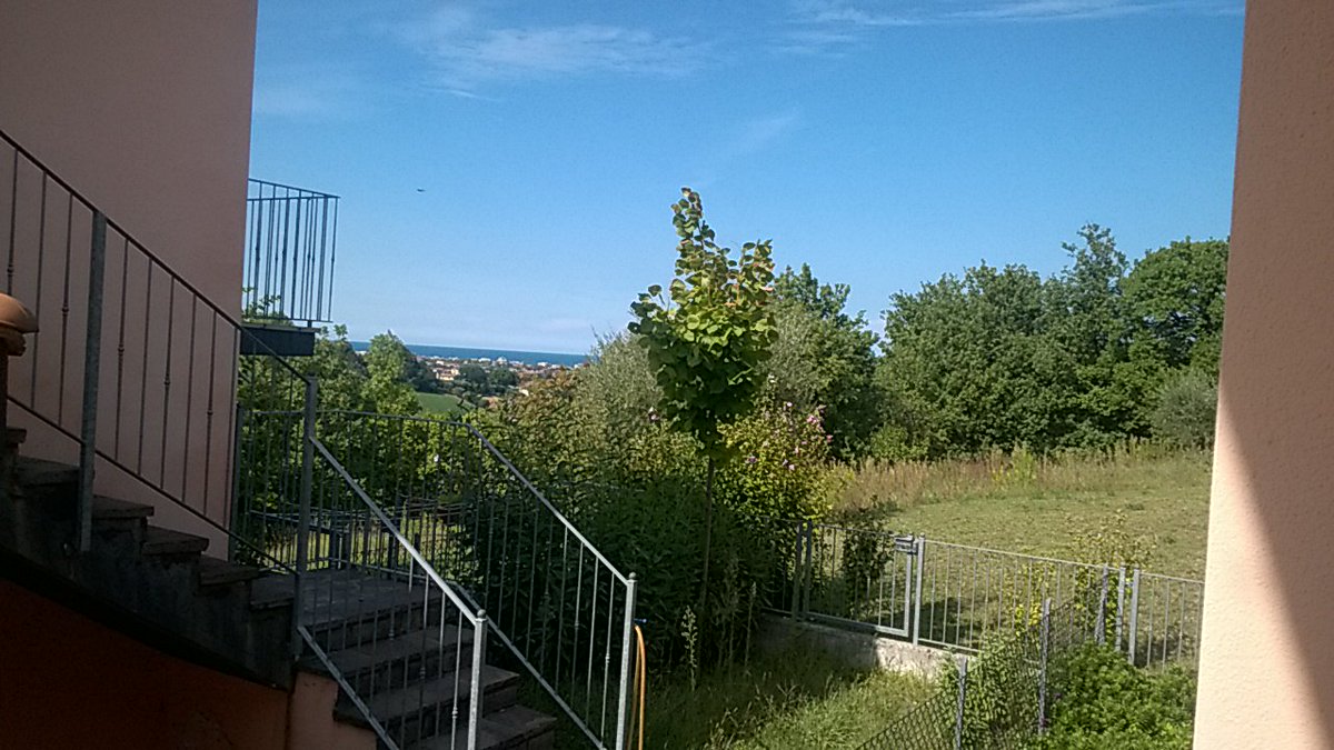 gianelli79 tweet picture