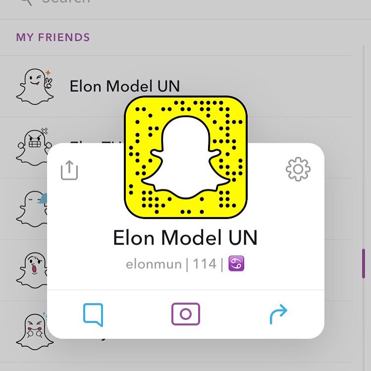 ElonModelUN tweet picture