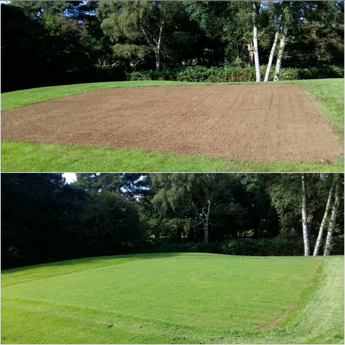 Danscott877's tweet photo. 1st tee ready for a cut after 12 days from seeding! #perfecttemps https://t.co/fTGgPgQ8ez