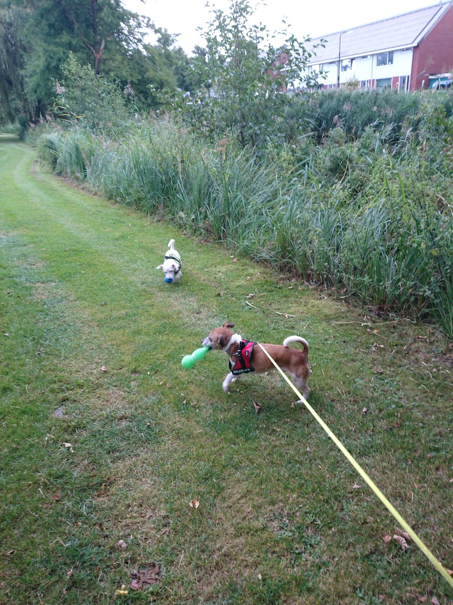 And the las5 way to spend free time! Time to go back to the pc