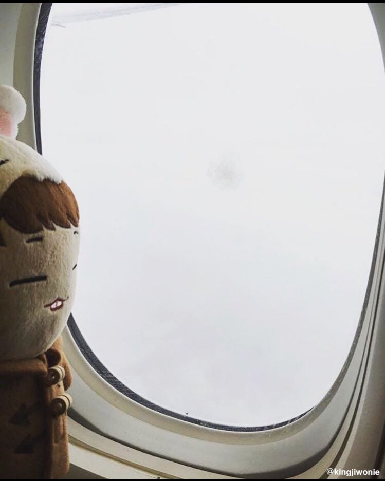 kingbobdongie's tweet photo. Bobbydoll travelling the world with me 🐰 https://t.co/zt00nFWdeQ